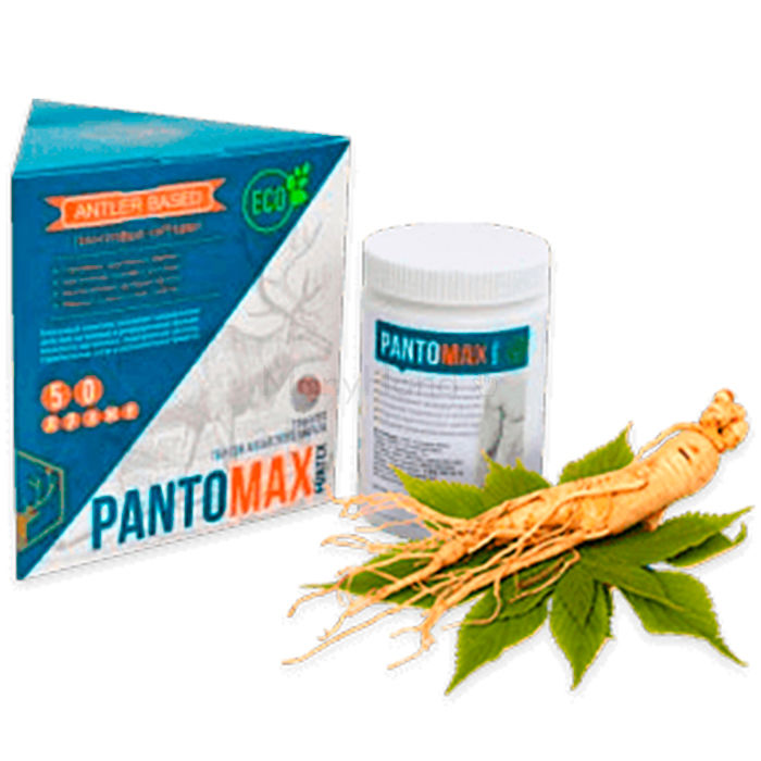 Pantomax Fortex in Talin