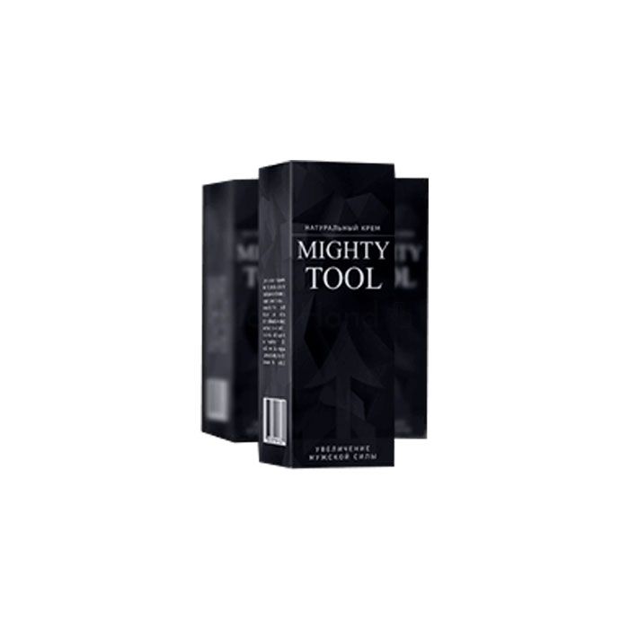 Mighty Tool ტყიბულში