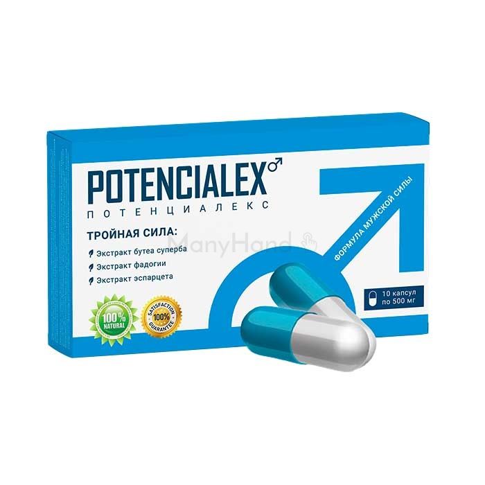 POTENCIALEX Մարալիկում